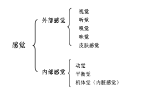 2019СW(xu)̎Y̌W(xu)֪Rcc:X