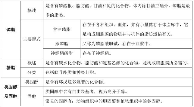 2020꽡펟A(ch)(f)(x)c(din)